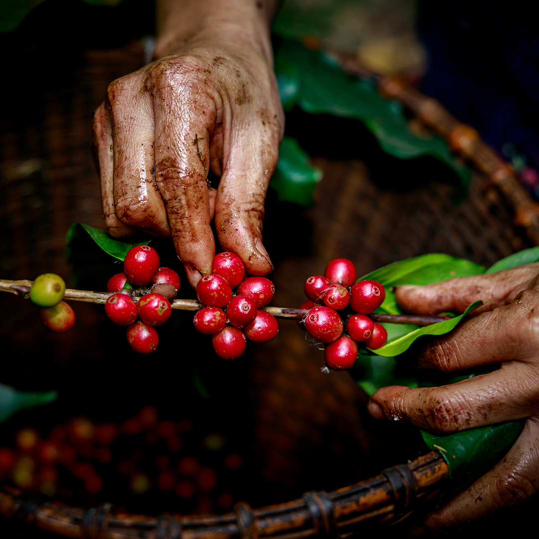 img-azienda-gallery-strong-woman-1 immagine azienda gallery strong woman 1