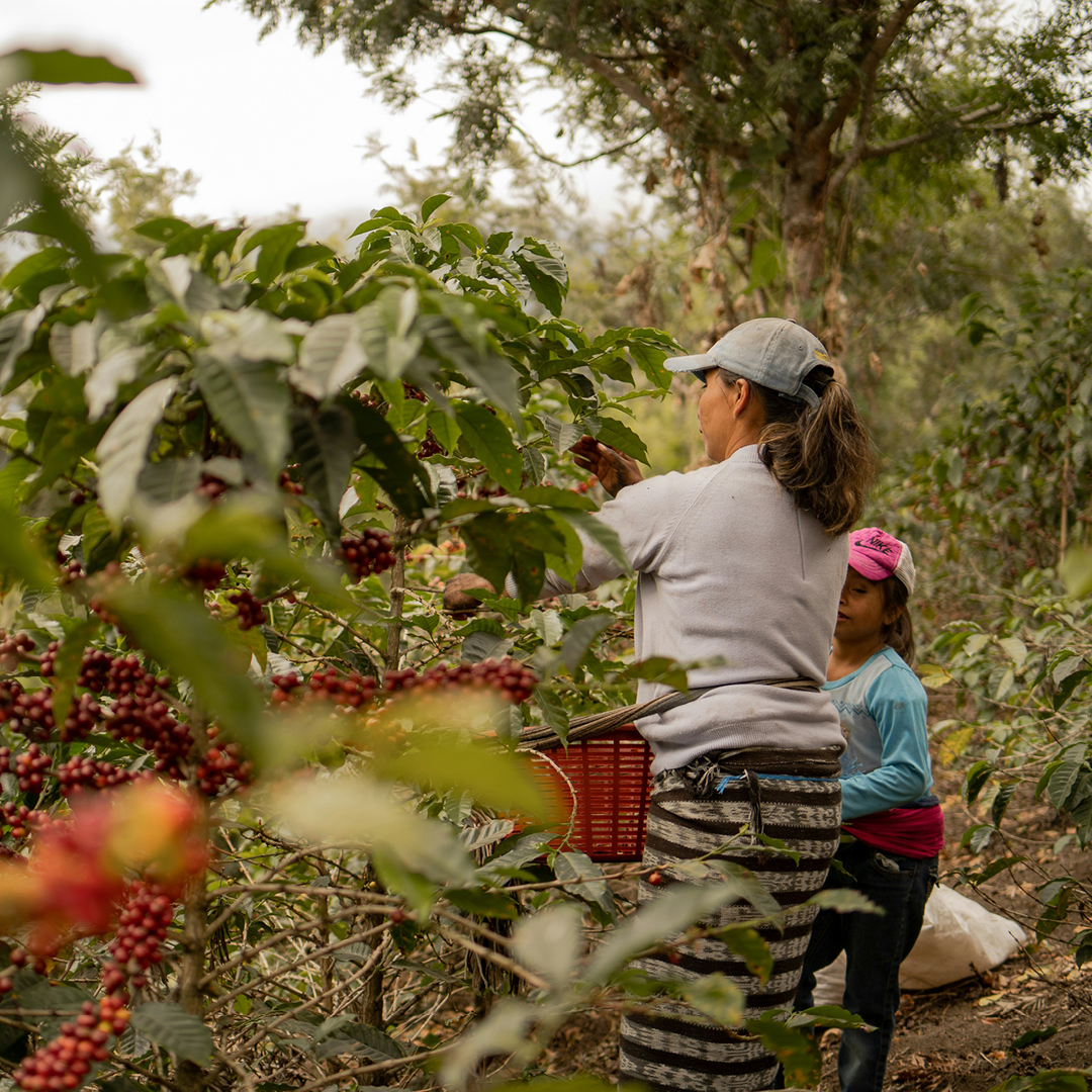 img-azienda-gallery-strong-woman-3 immagine azienda gallery strong woman 3
