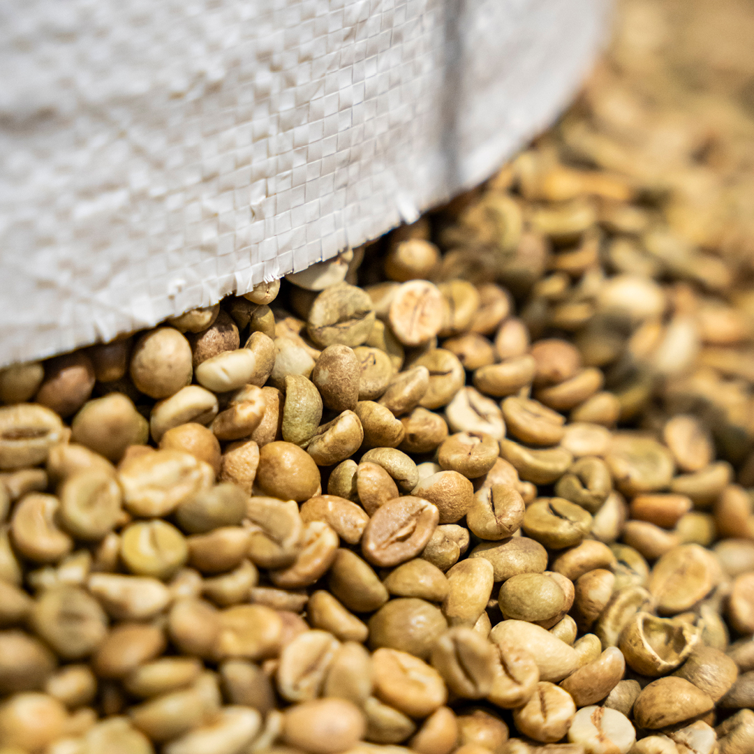 img azienda la nostra filiera selezione