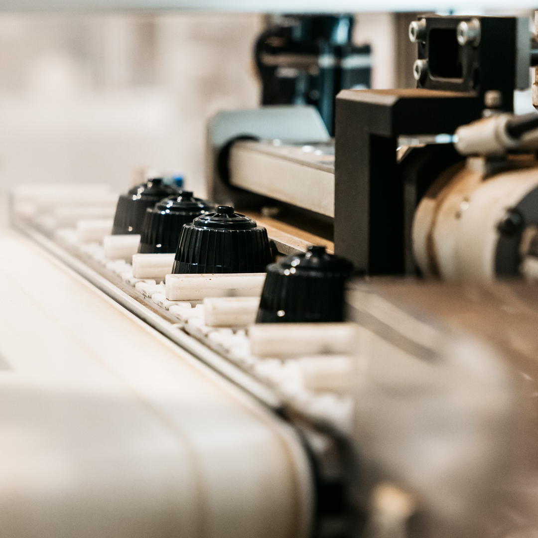 img homepage capsule compatibili