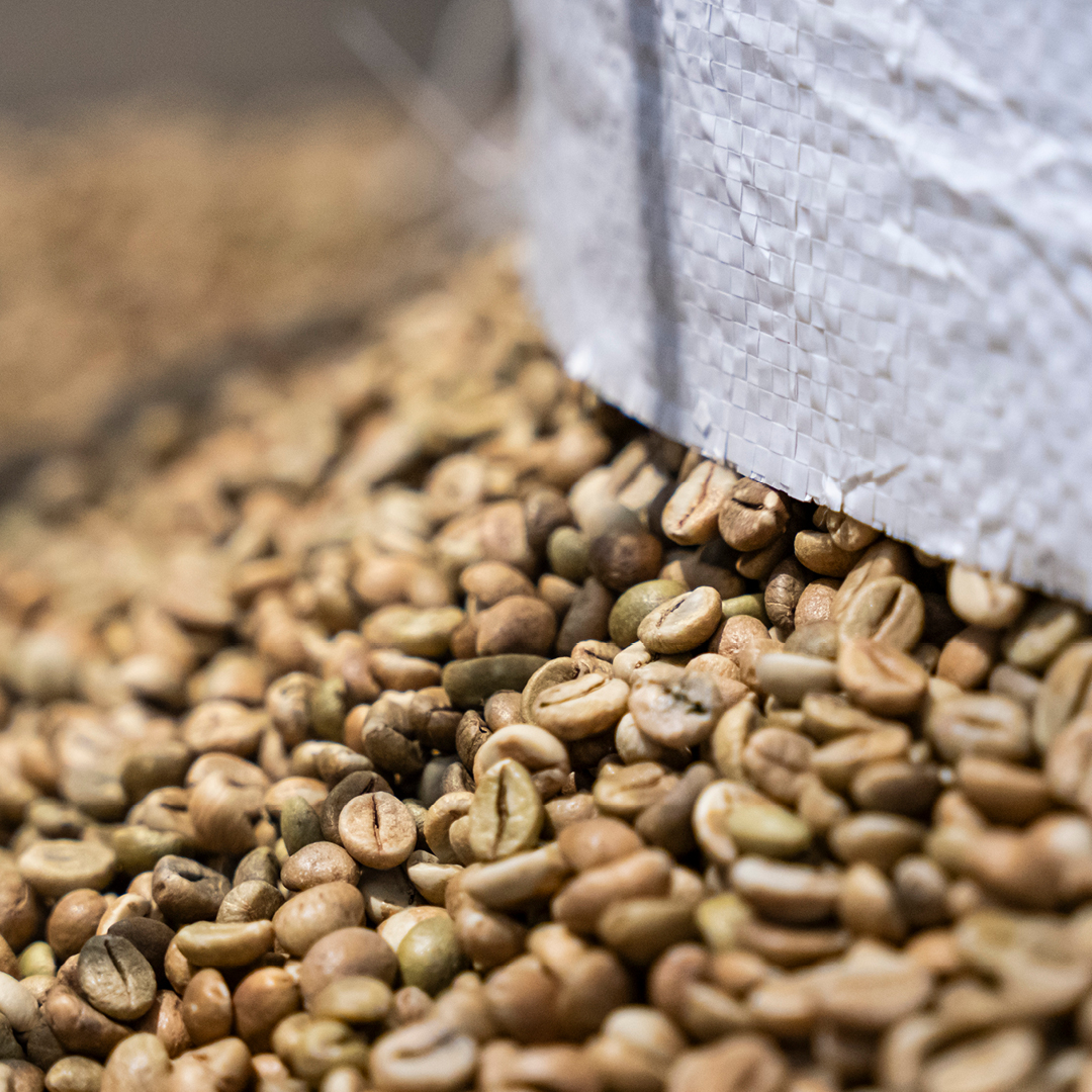 img servizi selezione