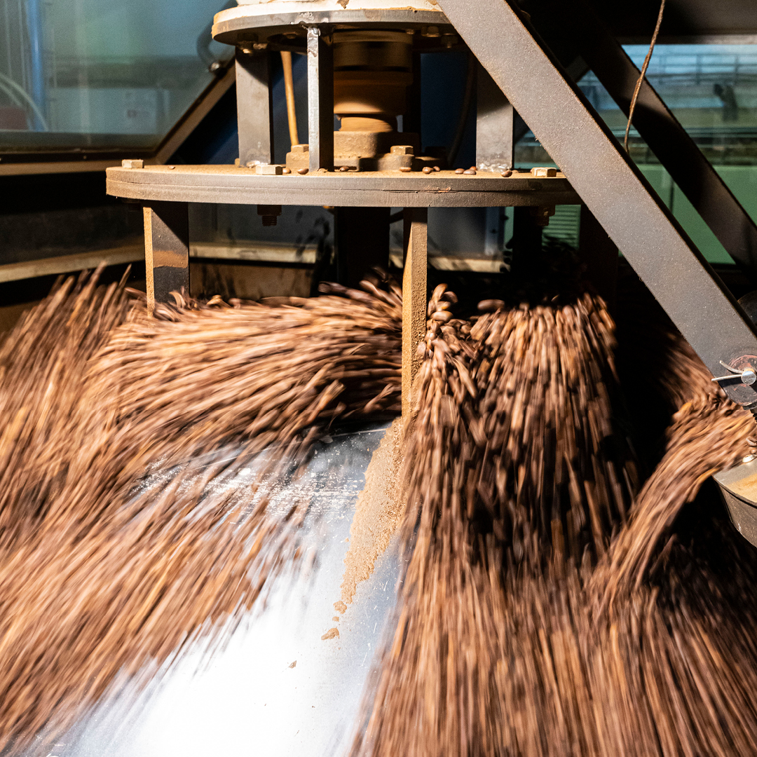 img servizi tostatura